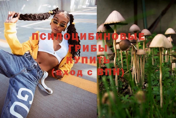 mdpv Каменск-Шахтинский