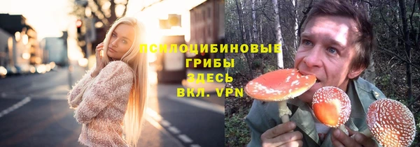 mdpv Каменск-Шахтинский