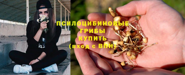 mdpv Каменск-Шахтинский