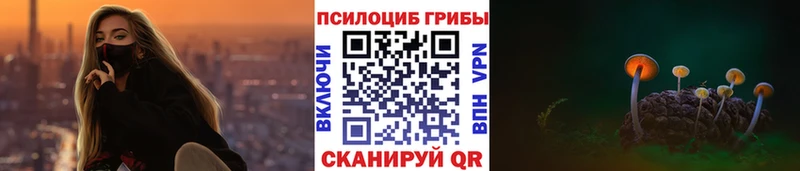Псилоцибиновые грибы мицелий  Купить  Энем 